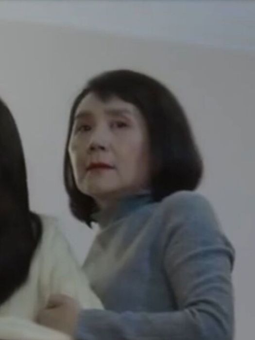 安然(都市劇《夢想城》中的角色) 安然(都市劇《夢想城》中的角色)