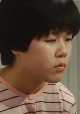 典子(1981年松山善三執導日本電影)