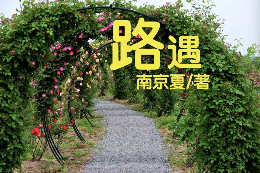 路遇(南京夏著網路小說) 路遇(南京夏著網路小說)