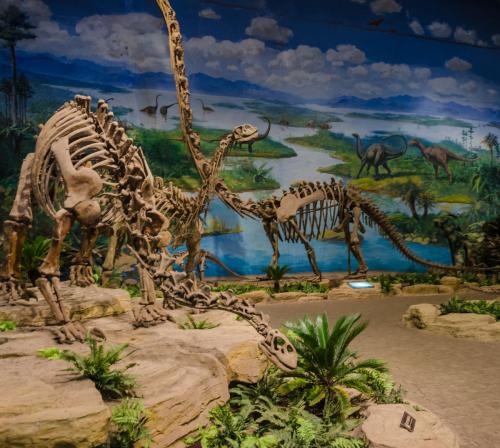 國家恐龍化石保護區
