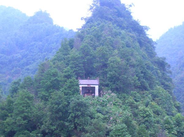 大姑娘廟 大姑娘廟