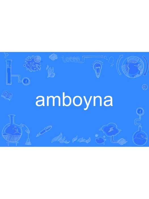 amboyna amboyna