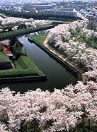 三浦友和