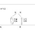 變性氣團 變性氣團