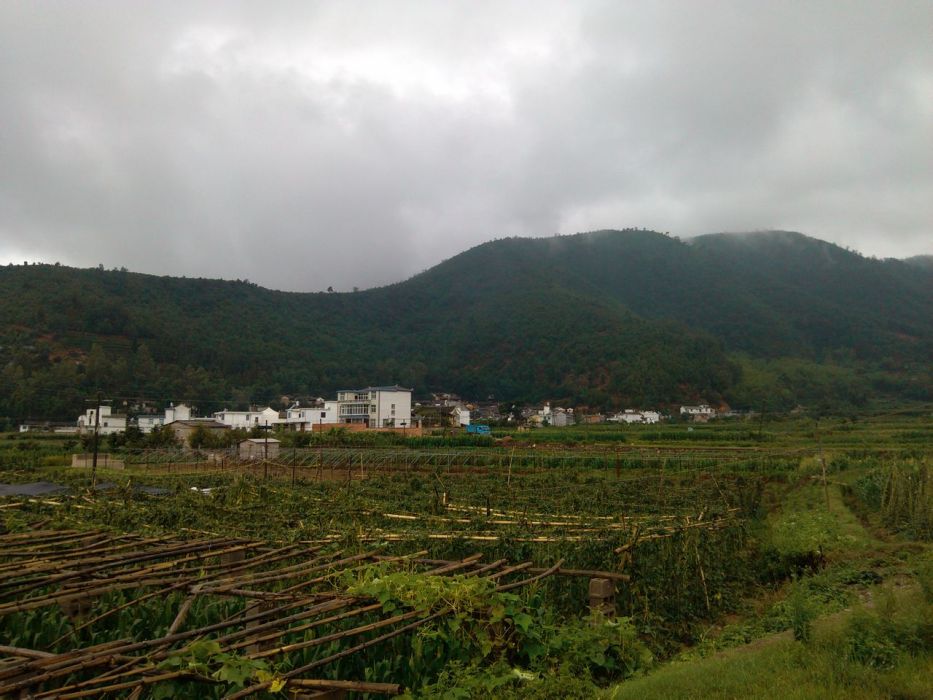 金雞沖村