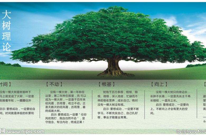 大樹理論 大樹理論