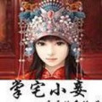 掌宅小妾 掌宅小妾