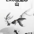 EXO獨寵冰山 EXO獨寵冰山