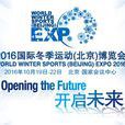 國際冬季運動（北京）博覽會