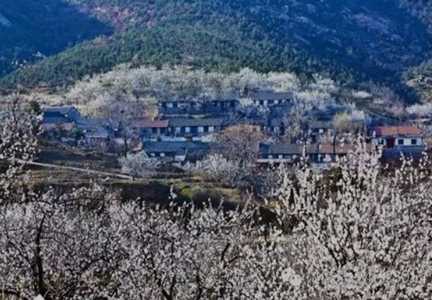 西南張村 西南張村
