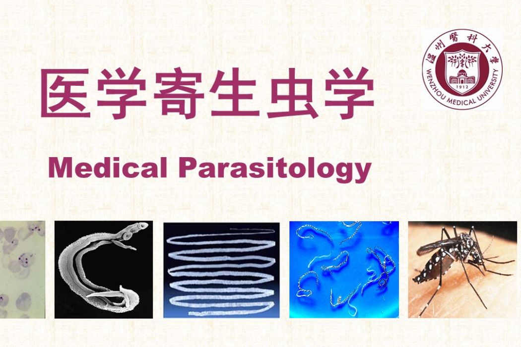 醫學寄生蟲學(溫州醫科大學建設的慕課) 醫學寄生蟲學(溫州醫科大學建設的慕課)