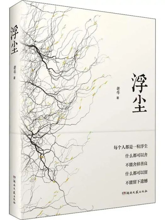 浮塵(2018年湖南文藝出版社出版的圖書) 浮塵(2018年湖南文藝出版社出版的圖書)