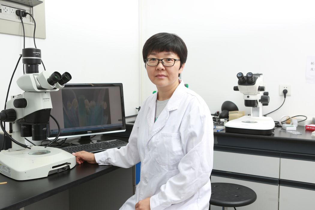 張彥(山東農業大學生命科學學院教授、博士生導師) 張彥(山東農業大學生命科學學院教授、博士生導師)