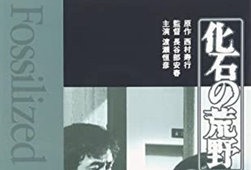 化石的荒野 化石的荒野