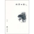 北京十年 北京十年
