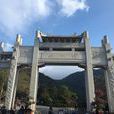 梧桐山