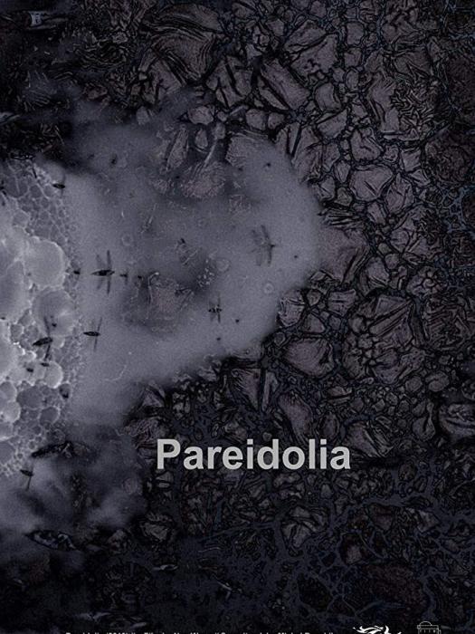 Pareidolia(荷蘭2019年Nan Wang執導的動畫電影) Pareidolia(荷蘭2019年Nan Wang執導的動畫電影)