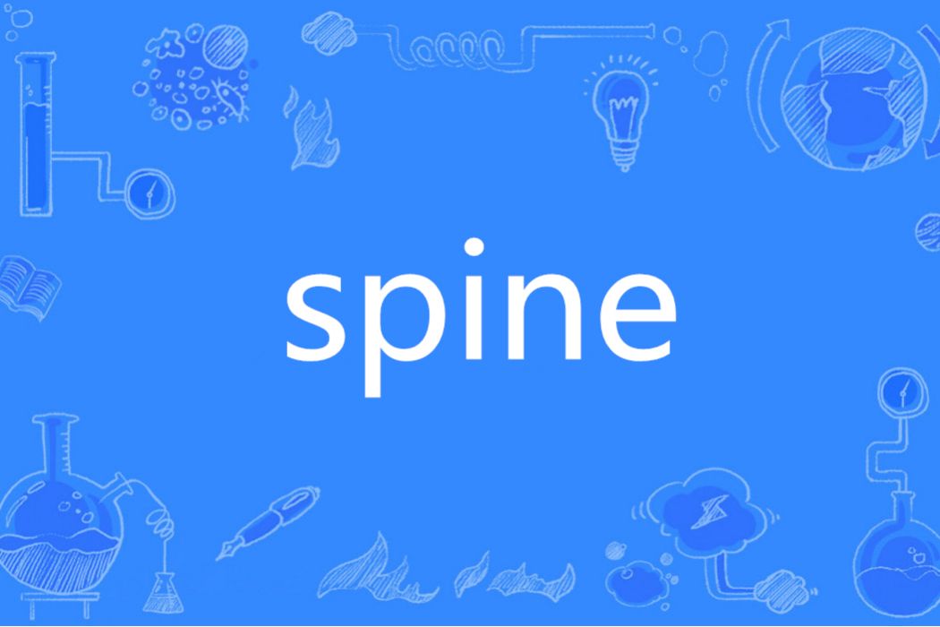 Spine(英語單詞) Spine(英語單詞)