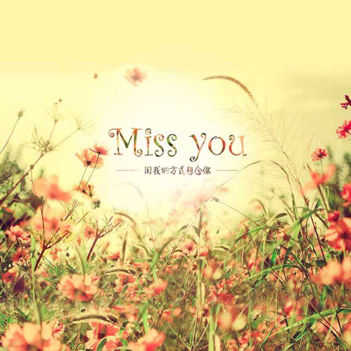 miss you(韓豪歌曲)