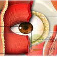 眼瞼腫瘤