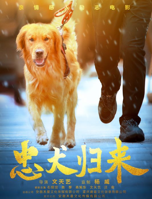 忠犬歸來 忠犬歸來