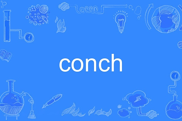 conch(英語單詞,指海螺或貝殼。) conch(英語單詞,指海螺或貝殼。)