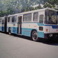BJD5170 BJD5170
