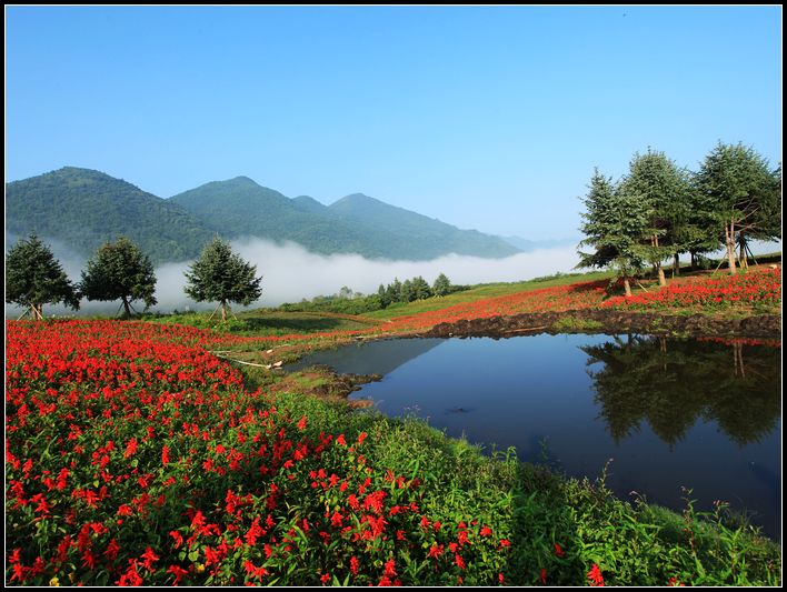 重慶紅池壩國家森林公園
