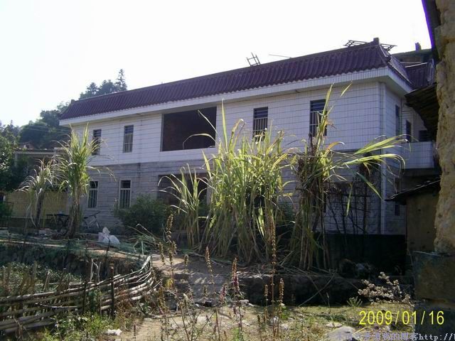 標發樓 標發樓