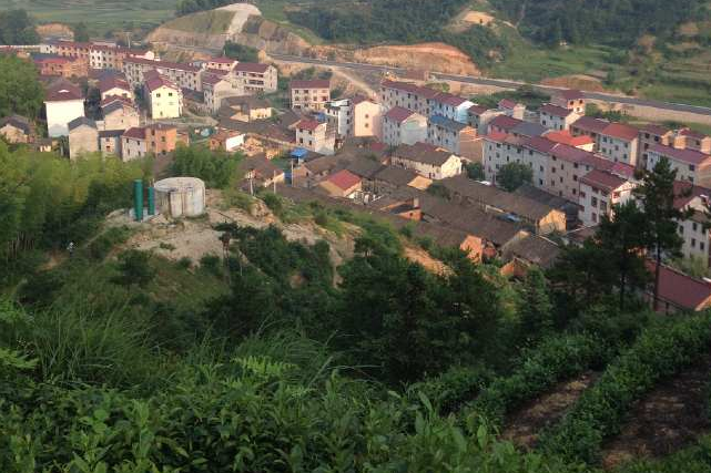 忠信莊村 忠信莊村