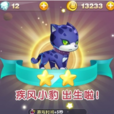 疾風小豹