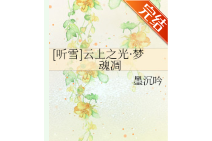 雲上之光 雲上之光