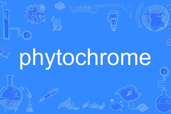 phytochrome phytochrome