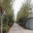 郎家村(重慶市萬州區分水鎮郎家村) 郎家村(重慶市萬州區分水鎮郎家村)