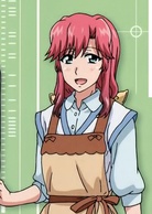 魔法少女奈葉Reflection