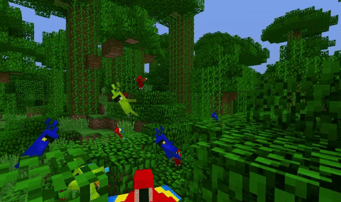 鸚鵡正在叢林中飛行（點擊播放動畫）。