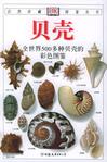 貝殼-全世界500多種貝殼的彩色圖鑑
