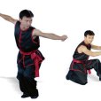 蔡李佛拳(蔡李佛功夫)