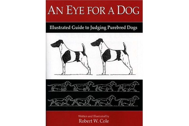 An Eye for a Dog An Eye for a Dog