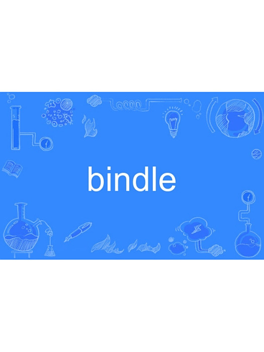 bindle bindle