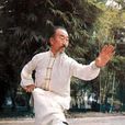 車氏形意拳 車氏形意拳