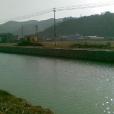 河楊湖村 河楊湖村