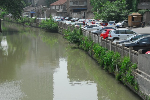 南市河段 南市河段
