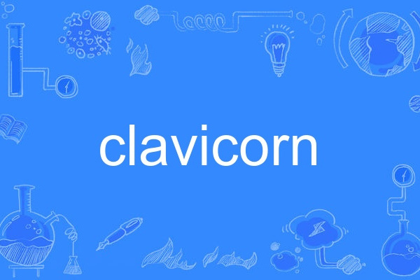 clavicorn clavicorn