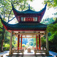嶽麓山