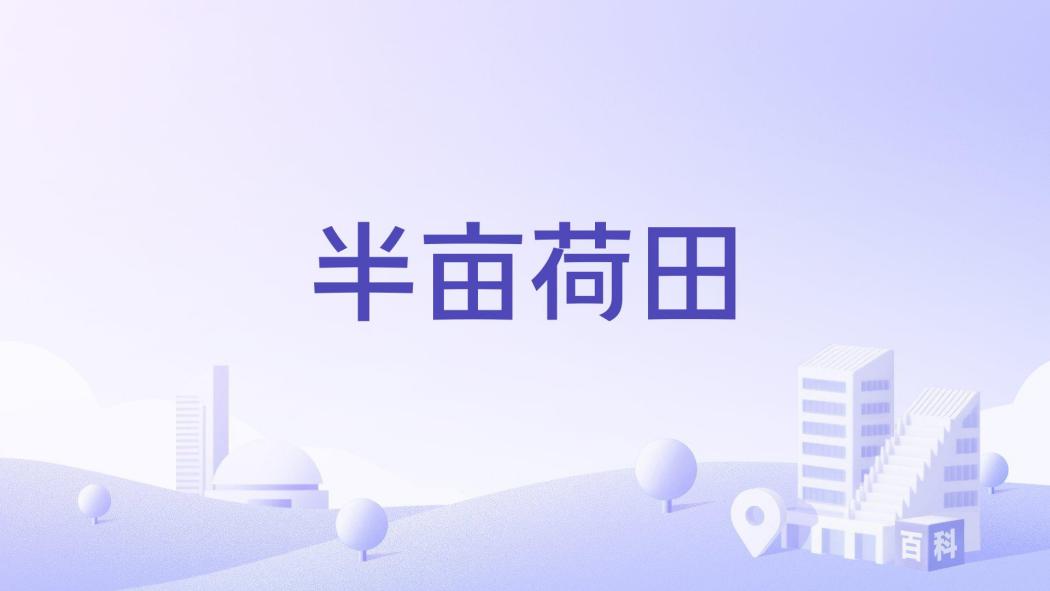 半畝荷田 半畝荷田