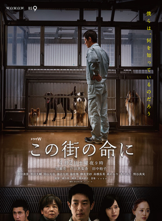 加瀨亮 加瀨亮