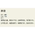 林臥(宋朝詩人釋文珦詩作) 林臥(宋朝詩人釋文珦詩作)