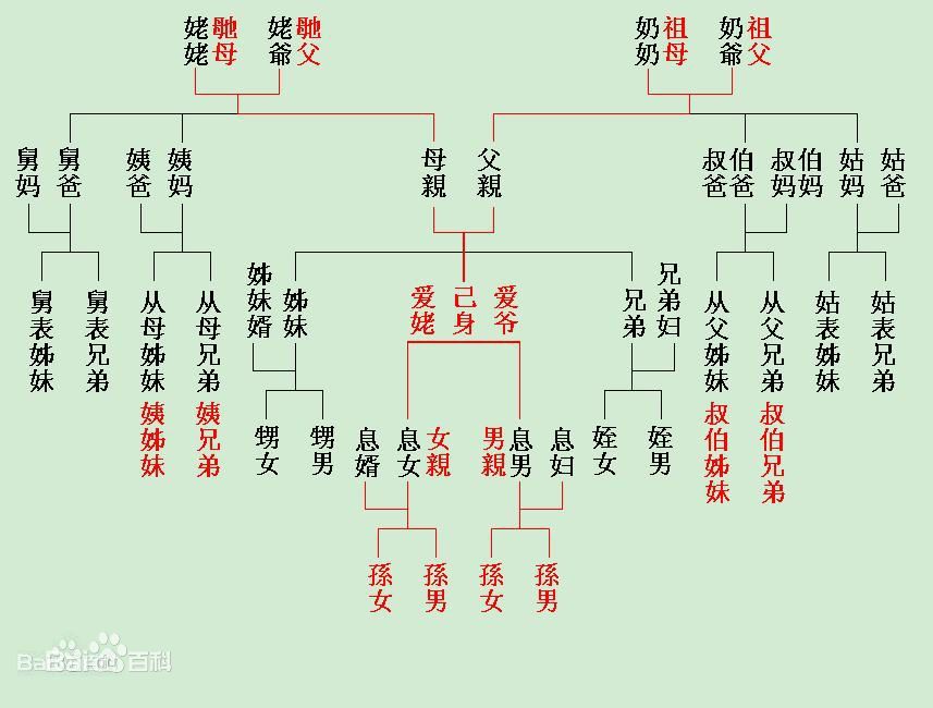 從父叔父 從父叔父