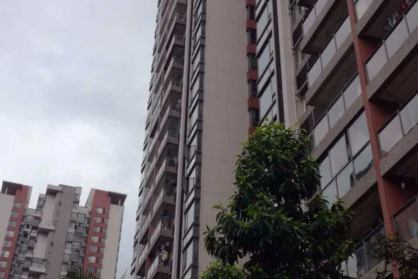 金山谷八期 金山谷八期